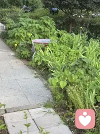 闲暇时间里在温泉附近散步走走，资源好丰富，可惜利用得不够好，若大的停车场早已杂草丛生，温泉城现可使用的地方仅占一半，那些一稀可见的部分仍然显示曾经的辉煌，很期待更加的完善，必定这里的汤是无以伦比的好呀！