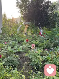 8天7晚的温泉之旅今天就结束了，跟老朋友欢声笑语放弃生活的琐碎，专业当下泡温泉的舒适中，这就足够了，回家仍然是生活的琐琐碎碎，那也是难得的幸福，平凡的人生、平凡的琐碎、平凡的日子，点点滴滴足够幸运的自己！