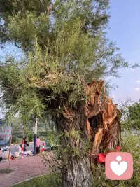 8天7晚的温泉之旅今天就结束了，跟老朋友欢声笑语放弃生活的琐碎，专业当下泡温泉的舒适中，这就足够了，回家仍然是生活的琐琐碎碎，那也是难得的幸福，平凡的人生、平凡的琐碎、平凡的日子，点点滴滴足够幸运的自己！