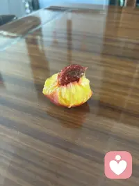 这油桃可真甜呀！说起来这是我的客户，一位14岁的女孩。上学期经人介绍来我工作室进行疗愈，当时她父亲带她去过北京等医院评估在服药休学之中，我们共同走过10场的催眠疗愈，在加上及时的评估服药，情况一天天好起来了，准备开学走进原来的学校和班级了，真真切切地感受到作为催眠心理疗愈师的幸福感和自豪感，这不她同父亲来看我送来了她们家桃园的两箱油桃，一箱送给老姨了，一箱留给自己吃。这不吃不知道一吃惊呆了，怎么这样甜呀，而且还离核，简直太完美了，必须分享。
