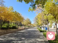 心静了，
世间喧嚣都无所谓了，
便是人间清醒。✨配图