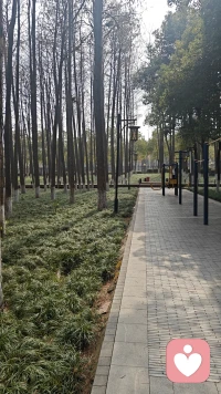 想说的话、藏着的情绪，都可以慢慢讲给我听。
我在这里，等你开口。配图