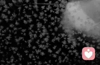 没有边界的坦诚是自我献祭，不是所有的伤口都适合当众展览。把错误的事情告诉错误的人，代价就是自己珍贵的体验被对方廉价化了。把脆弱留给那些用时间证明过绝对安全的人。记住：你的情绪是你的自留地，不是别人的跑马场。