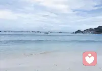 爱是软弱的时刻，是求助于他者的心情，不是求助他者的施予，而是求助于他者的参与。爱最勇敢的一刻，是你说我需要你。不是要你为我做什么，而是邀请你，走进我的生命里。