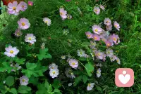 不该错过的伴侣，身上通常有这些特质：

能让你的情绪「安全着陆」。你难过时，他不急于讲道理，而是先稳稳地接住你的情绪。

本性良善，对世界温和有分寸。他的好是一种稳定的修养，而非只对你一人的短期热忱。

最重要的，是拥有「修复关系」的能力。吵完愿意转身回来不稀奇，关键是回来后，能真正把问题收口：诚恳地沟通、弥补，并调整方式。让同样的矛盾，下一次发生的概率降低一点。

这些内在的质地，远比外表条件更能决定一段关系能走多远、扎多深。

遇不到，就享受独处的晴朗。不将就，就是对自己最大的诚意。