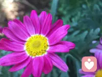 执着于追求目的地，就会失去过程中的意义，过程变得枯燥甚至痛苦。其实过程也是生活的一部分，顺其自然就好。配图