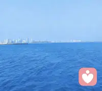 因为你漂亮、有趣、会说机灵话，所以很多人喜欢你。但这样的喜欢，往往暗含着许多期待。
而有的人喜欢你，是看见你哭和狼狈，知道你的辛苦与平凡。允许你不美又不乖，还想把肩膀和糖果都塞给你。
人与人之间，若灵魂不能共振，交流无法同频，仅仅是浅浅的遇见，终究会成为陌路。
永远不要高估自己在别人心中的位置，不要觉得自己不可或缺。实际上，可能只是偶尔被需要。
无论你变成什么样子，都会有人喜欢你，有人不喜欢你。
所以，就大方方地做自己。我自盛开，清风爱来不来。配图