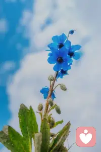 你只需要和那些同样珍视你的人，保持联系就够了。其实我们生命中碰到的绝大多数人，都还没有你早上喝的那杯水重要。只有那些真心爱你，给你鼓励的人，才值得你动用心神。这世上绝大多数的事情，靠自己的努力和争取都有换来的可能，唯独一个有情有义的爱人或是一个惺惺相惜的挚友，需要靠上几分运气。