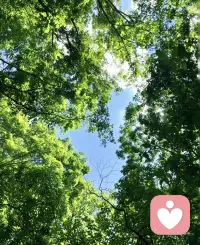 我们总在努力成为更好的自己，

却常常忘了，不完美，也是生命的一部分。

慢慢学会接受自己所有不完美的一面吧。

身上的痕迹，是岁月的礼物；

不得已的缺口，是故事的注脚。

人生本就没有绝对完美的模样，

坦然面对那些必须跨过的难关，

接纳自己，才是疗愈的开始。

✨ 愿你温柔地拥抱每一个阶段的自己。