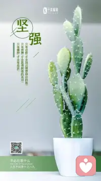 你担心的80%事，三个月后都会忘记，所以不纠结当下，不过分担忧，把事件交给时间，让时间去治愈！配图