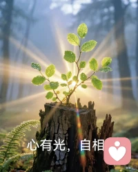 每个人都有一双慧眼
你只用来向外看、向别人看
却曾未看见自己

每个人都有丰盛富足的心
你只用来供养欲望
却曾未供养自己

你所遇到的烦恼，问题
或许不急需要一个解决答案
而是提醒你
多看见自己