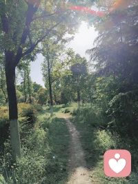 无论生活中发生什么
你都要确保自己
允许它存在配图
