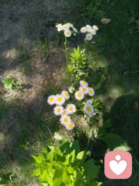 信言不美，美言不信
珍惜对你真诚的人
并且可以接住这份真诚配图
