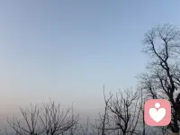 当心真正安静下来，世界便以另一种方式，清晰而温柔地呈现。原来，最深的诗，不在远方，就在这静心倾听的当下，在每一次心跳与万物共鸣的瞬间。时间在等我们安静，好让我们听见它，也听见自己。配图