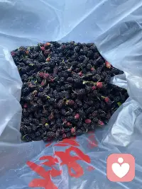 花了一个下午陪孩子去采野桑葚，熬成酱，让大自然馈赠的甜蜜治愈五月份的每一天～