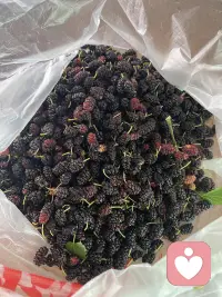 花了一个下午陪孩子去采野桑葚，熬成酱，让大自然馈赠的甜蜜治愈五月份的每一天～