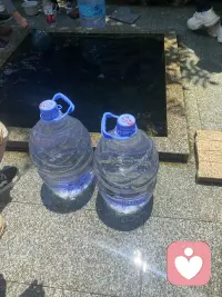 为了喝一口甘甜的泉水，两个勤劳的蠢人徒步1公里山路双手拎下山，走三步歇两步，目前双臂已废，老腰废没废明天才知道了😂