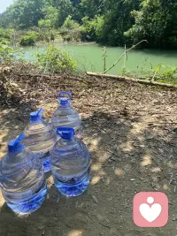为了喝一口甘甜的泉水，两个勤劳的蠢人徒步1公里山路双手拎下山，走三步歇两步，目前双臂已废，老腰废没废明天才知道了😂