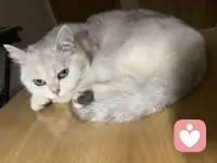 治愈系萌宝