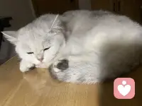 治愈系萌宝