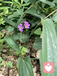 如果你能在别人身上，看到勇气、非凡与魄力，那么在你的内心深处，一定也藏着同样的东西。否则，你根本无法将其辨认出来。
也就是说——
你所欣赏的人身上，藏着你的品味与志趣；
你所厌恶的人身上，藏着你的底线与原则。
不要只是一味仰望别人的光。
你能认出光，就证明你本身，亦是光源。
你心里有光。
内心深处的力量，从未缺席。
只是需要你勇敢唤醒，大胆践行。
你远比自己想象中，更加强大。
荣格曾言：
你的潜意识指引着你的人生，而你称其为命运。当潜意识被呈现，命运就被改写了。