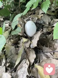 如果你能在别人身上，看到勇气、非凡与魄力，那么在你的内心深处，一定也藏着同样的东西。否则，你根本无法将其辨认出来。
也就是说——
你所欣赏的人身上，藏着你的品味与志趣；
你所厌恶的人身上，藏着你的底线与原则。
不要只是一味仰望别人的光。
你能认出光，就证明你本身，亦是光源。
你心里有光。
内心深处的力量，从未缺席。
只是需要你勇敢唤醒，大胆践行。
你远比自己想象中，更加强大。
荣格曾言：
你的潜意识指引着你的人生，而你称其为命运。当潜意识被呈现，命运就被改写了。