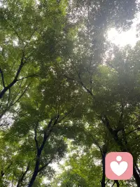 细腻的性格就会敏感记仇，大大咧咧的性格就容易冒犯，情绪稳定的容易冷暴力，喜怒哀乐都摆在脸上的人就会阴晴不定，所以啊，这世上，哪里有完美的性格，喜恶同因，瑕瑜互见