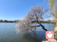 在自己能力范围之内，一点苦都不要吃！一句难听的话都不要听！不喜欢的删掉别犹豫！
记住，普通人根本不用刻意的追求幸福，能规避痛苦就赢了大半！丢掉那没必要的愧疚感，能让自己好过就绝不让自己受委屈，自己值得所有的美好。
人不是老了才会死，是随时可能离场！余生真的很短，在能力范围之内拼尽全力好好的爱自己！把自己的感受置顶，不内耗不迁就！为自己而活！