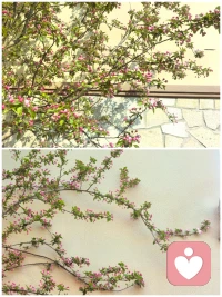 上天给你什么，你就接受什么，上天拿走什么，你就放弃什么。永远不要害怕失去，得之我幸，失之我命，命运没空搭理你，你就做好你自己，风吹哪页读哪页，哪页不懂撕哪页，且看且随风，且听且从容。
​一个人之所以感到痛苦，就是因为习惯较劲，跟命运较劲，跟自己较劲，跟身边的人较劲，为了那些得不到和已失去的东西，折磨自己半生。