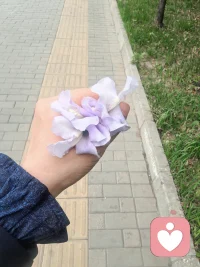 真正智慧的人，是人生的成熟，一半是对美好事物的追求，一半是对残酷世界的接纳。这才是真正成熟的人。配图