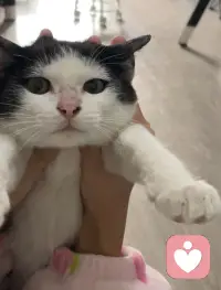 要相信自己爱自己
很多事情我们不是不知道，只是需要时间配图