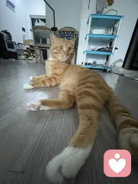 可能只有我们70/80后最惜命了，任何精神上的痛苦都可以承受，不像现在的孩子活着是非常理所应当的事，可是他们精神上却存受着巨大的压力，学习 攀比 中考 高考…
我希望你健康快乐 不光身体还有内心 精神世界配图