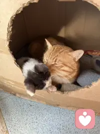 你经历的每一帧痛我都理解……孩子你要相信自己爱自己，难受就哭吧想骂人就骂，一定要让自己的内心开心快乐健康配图