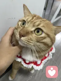 要相信自己爱自己不要过度解读痛苦，那样只会更加痛苦，