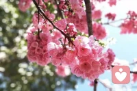 一个人，如果3岁时发生的事情对他有伤害，那他就会停留在3岁时的创伤里，无论他长到304050岁，这个创伤一直在，每当有相同的伤害出现时（事情可能不一样，但带给他被伤害的感觉是一样的），人就会闪回到3岁时被伤害的感觉中，这种伤害会让我们有恐惧，害怕，伤心，委屈，难过等情绪，也会让我们有冷漠，麻木，无力，恶心，呕吐，尿失禁等躯体化症状，这些躯体化症状来来保护当时那个3岁的自己的，当我们疗愈了那个3岁的小孩，人就不会被各种情绪淹没了。