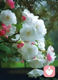 当一个人欠了很多债时，首先是活好自己，有能力了再去还债。当我们的生存面临威胁时，我们要选择先活下去，债可以先不还，信用也可以暂时不好，要记住，“你的才是最重要的”。配图