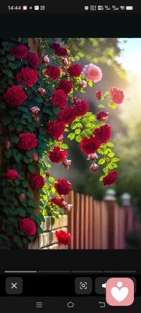 一个人，在从小到大的成长过程中，特别是孩子，当他们遇到重大事件，又无法得到父母的关注和支持，不能及时做心理治疗，他的神经系统就会受损严重。压力大，胡思乱想，心烦意乱，惊恐不安，睡眠障碍，食欲不振，注意力不集中，学习成绩下降……经过漫长的煎熬，为了活下去，孩子们的神经系统会形成影响他一生的防御机制，这些防御机制的产生，是为了他能够活下去。时间久了，就会失效，从此，他们的人生再也无法走向成功，他们会面临一次又一次的失败。并且，他们会不断地制造困境，把自己推向死亡的深渊。配图