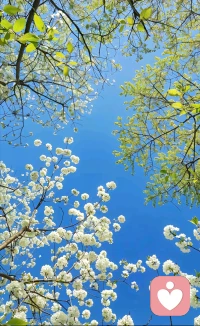 一个人联结了爱，内在会很有安全感，很踏实、松弛、安定。
​没有联结上爱以前，人们靠着恐惧、焦虑的驱动向前走，大约到了40—45岁，就会停滞不前，走不动了。
​联结上爱以后，在爱的驱动下，向前走，会走得很轻松，很轻盈，很安稳。配图