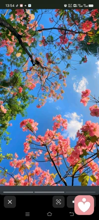 孩子在外面被欺负了，你说是同学坏，你说是老师不负责。
但你有没有想过，他是从谁那里学会“逆来顺受”的？

你在家打他、骂他、发泄情绪，他早就习惯了“被欺负是正常的”。
出门在外，被人推一下，他只会觉得“这很正常”。

当孩子在外面被欺负了，他为什么不告诉你？
因为他试过。
他试过被你打、被你骂、被你忽视。
他早就知道：你，不是那个能保护他的人。

你问他为什么不还手？
因为他在家早就被你打怕了，他根本不知道什么叫“反抗”。

别再怪学校、怪社会了。
如果你是他生命中的第一个霸凌者，就别怪他成为别人眼中的“软柿子”。

醒醒吧，你的童年创伤，不该由你的孩子来买单。配图