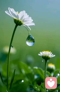 当我们的妈妈意识不到自己有问题时，孩子可以先活出自己，这不是不孝顺，是更有力量的表现。配图