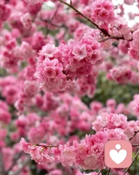 刚看了一条短视频，一个小孩哥，爸爸妈妈闹离婚，他和哥哥跟着爸爸生活，三年没见过妈妈了，爸爸陪他做过心理咨询，小孩哥说话很成熟，说着怨恨妈妈的话，可心底是那么渴望妈妈，在学校里被孤立，被孤立就是校园霸凌，这种霸凌更隐蔽，身体上可能没伤，但心理伤害很大，家长没看到或不及早做疗愈的话，长大后需要连续做咨询才会彻底疗愈，真心的希望爸爸妈妈早日醒来，早日活在生命里，尤其是妈妈，妈妈对孩子来说更重要。配图