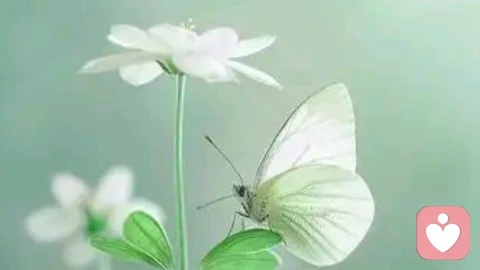 特殊孩子​特殊孩子没有能力时真的无路可走吗？\\n\\n     \\n\\n​特殊孩子没有能力时真的无路可走吗？\\n\\n     \\n\\n特殊【精神障