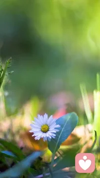 人生向来不止一种答案