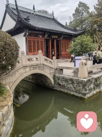 世间嘈杂，我在这里，做你安静的树洞。配图