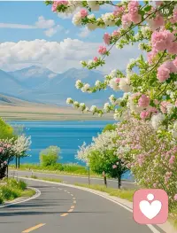 有些人注定只能陪你走一程，有些路注定只能独自前行。求而不得是常态，得而复失是人生。凡 尽力而为，结果顺其自然，心安便是归处，心宽便是福气。配图