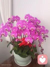 因为太过热情，所以总觉得别人对你都太冷漠;因为太爱一个人，所以别人一个疏忽都觉得是不爱你的表现，所以，别把大部分精力放在别人身上，应该关注当下的自己，这样我们才会减少很多矫情的情绪。