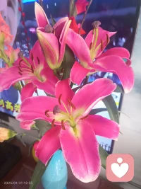 因为太过热情，所以总觉得别人对你都太冷漠;因为太爱一个人，所以别人一个疏忽都觉得是不爱你的表现，所以，别把大部分精力放在别人身上，应该关注当下的自己，这样我们才会减少很多矫情的情绪。