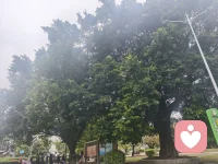 所有关系中，怀疑的种子一但被种下，那就不是距离的问题，而是安全感被撕裂，彼此之间信任的崩盘。所以，剩下的时间，就看你是否有无悄无声息“破冰”的魄力，以及勇于“翻脸”的决心。