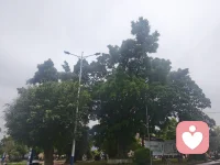 所有关系中，怀疑的种子一但被种下，那就不是距离的问题，而是安全感被撕裂，彼此之间信任的崩盘。所以，剩下的时间，就看你是否有无悄无声息“破冰”的魄力，以及勇于“翻脸”的决心。