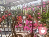 男人永远忘不了他得不到的女人，而女人永远忘不了她本应该拥有的男人。